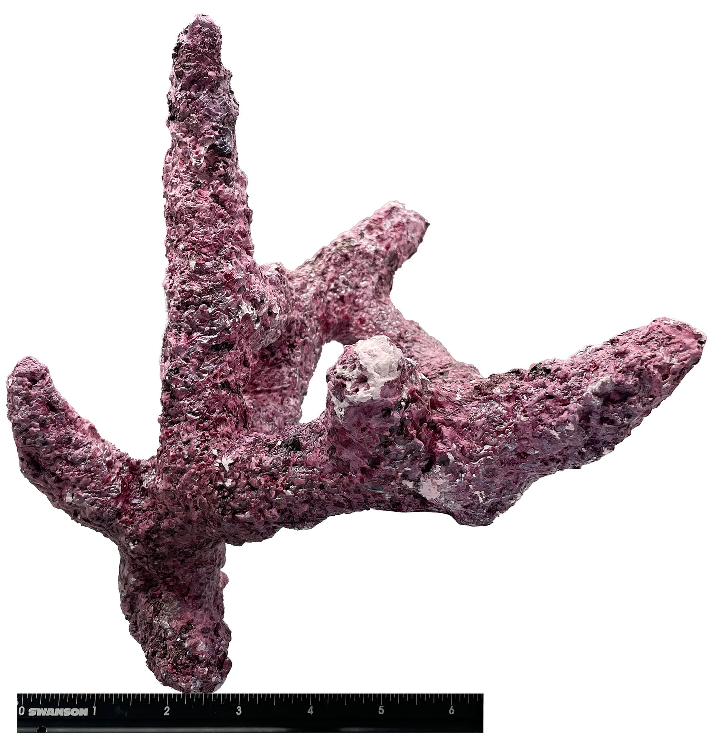 Tropic Eden Morroca Branch Rock