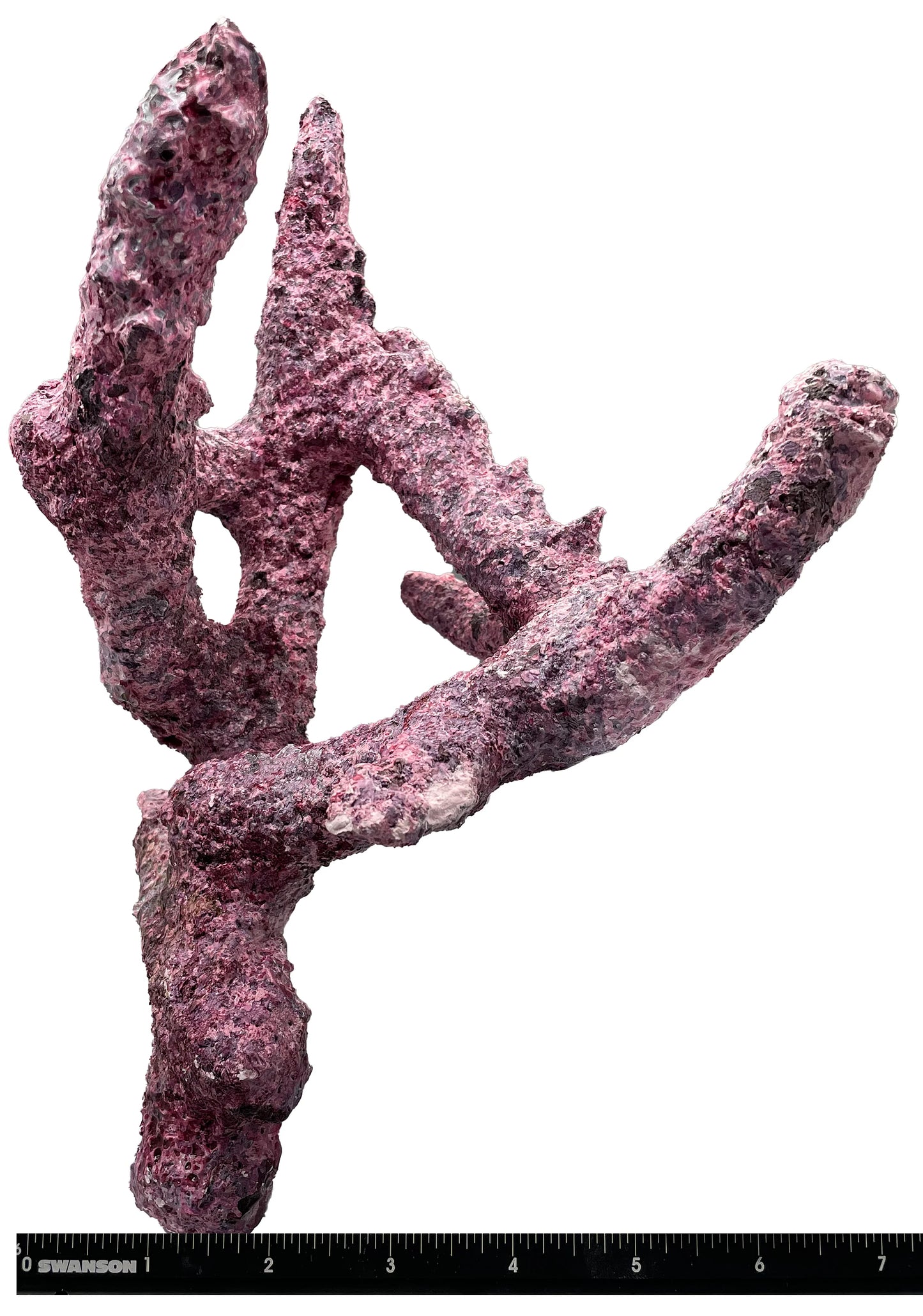 Tropic Eden Morroca Branch Rock