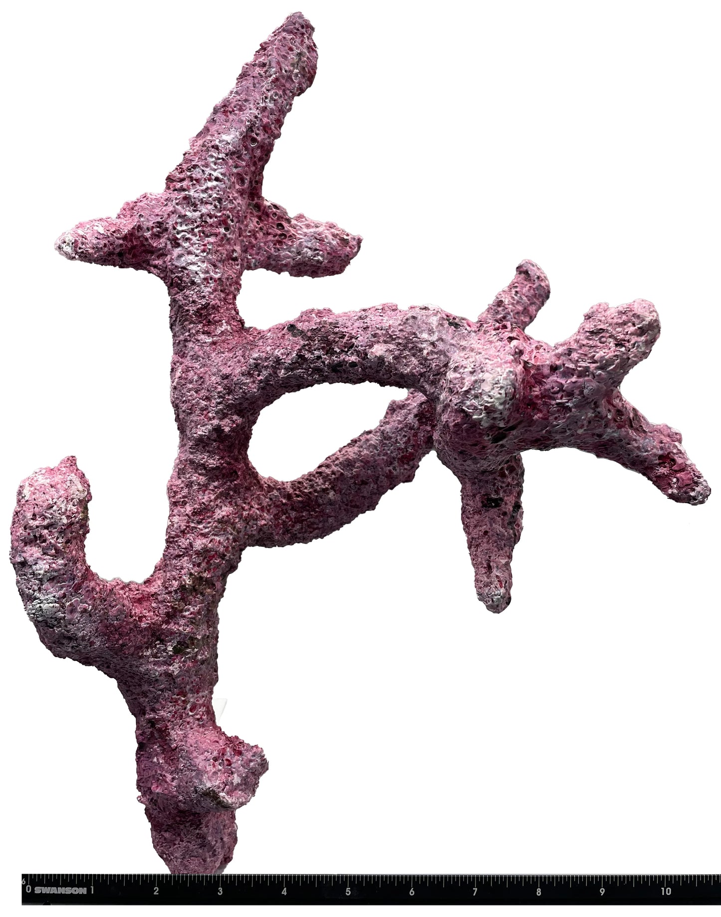 Tropic Eden Morroca Branch Rock