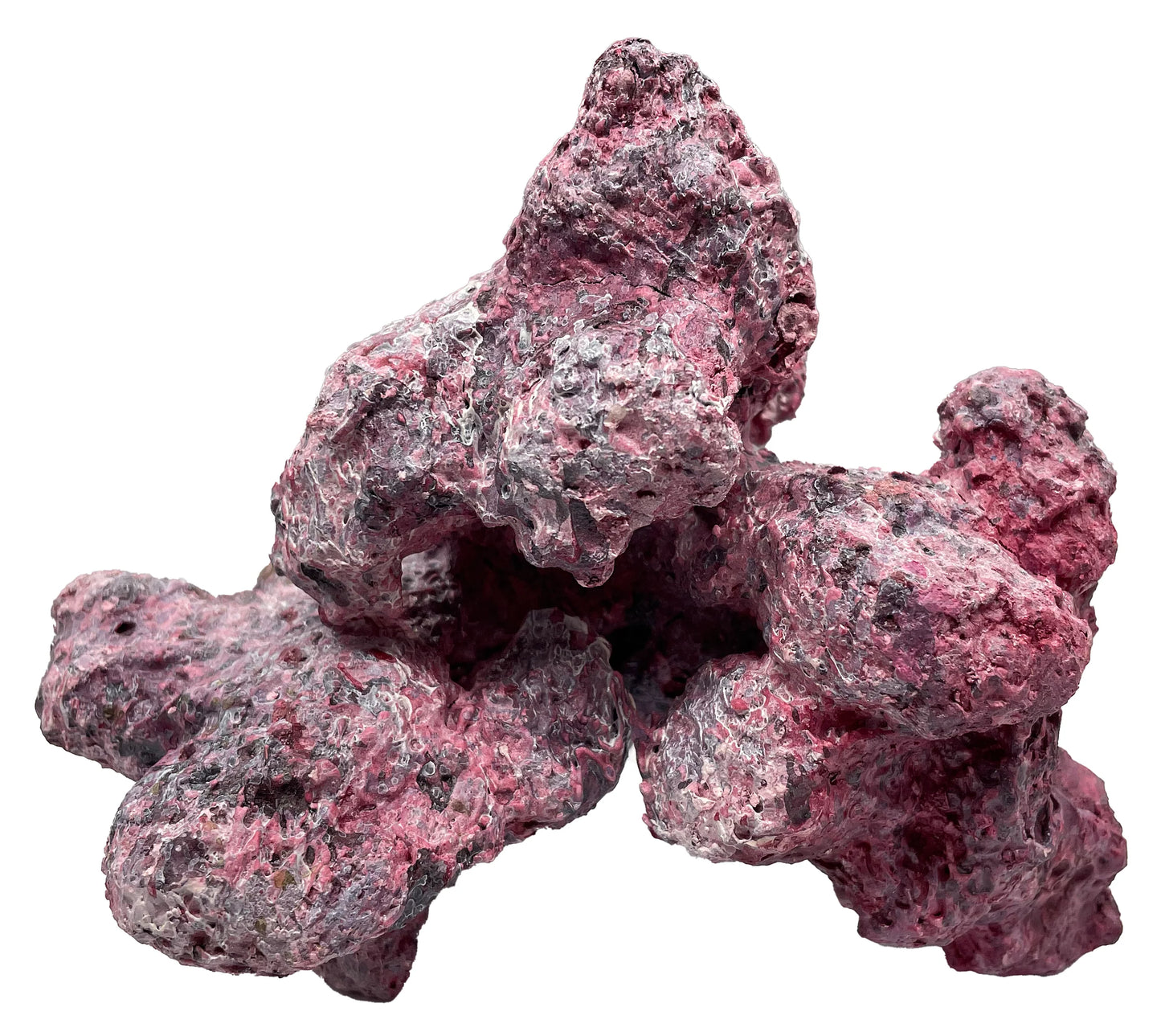 Tropic Eden Morroca Mini - ONE Piece (.8-1lbs)