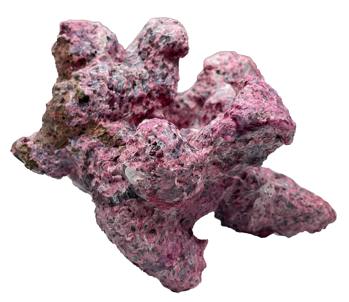 Tropic Eden Morroca Mini - ONE Piece (.8-1lbs)