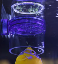 Innovative Marine Pro Gourmet Defroster