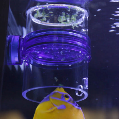 Innovative Marine Pro Gourmet Defroster