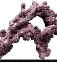 Tropic Eden Morroca Double Cave Rock - ONE x 6.5-7.5lb Piece