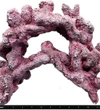 Tropic Eden Morroca Double Cave Rock - ONE x 6.5-7.5lb Piece