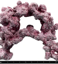 Tropic Eden Morroca Double Cave Rock - ONE x 6.5-7.5lb Piece