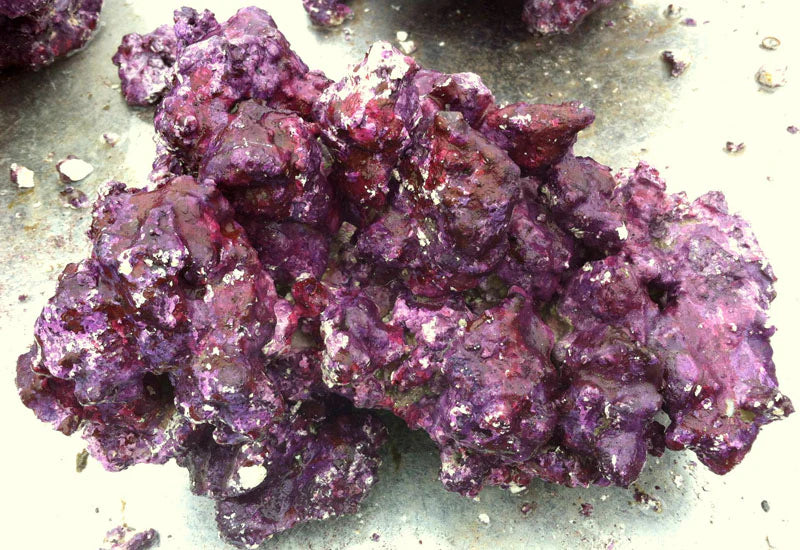 Real Reef DRY LIVE Rock (sold per pound)