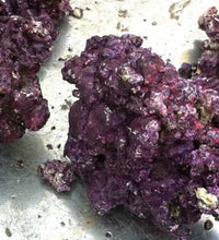 Real Reef DRY LIVE Rock (sold per pound)