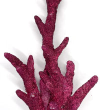 Real Reef Fancy BRANCH Rock (Sold Per LB)