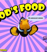 Rod's frozen Breeders Blend 6 oz