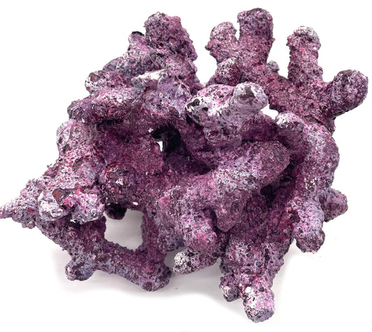 Tropic Eden Morroca Irregular Rock - Large - ONE Piece (approx 5lbs)