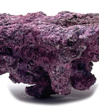 Tropic Eden Morroca Rock - Foundation Reef - Large - ONE Piece (approx 2lbs)