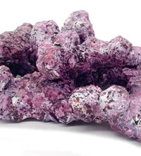 Tropic Eden Morroca Rock - Foundation Reef - Small - ONE Piece (approx 1/2 lbs)