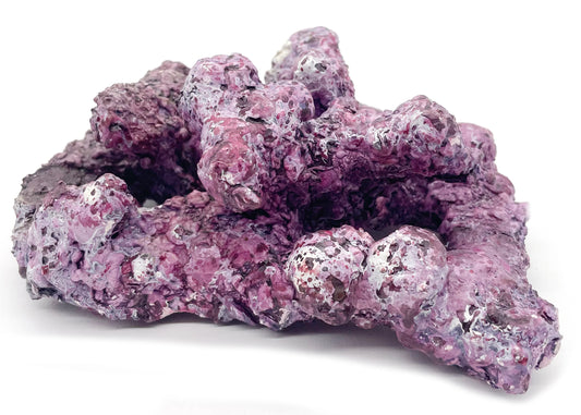 Tropic Eden Morroca Rock - Foundation Reef