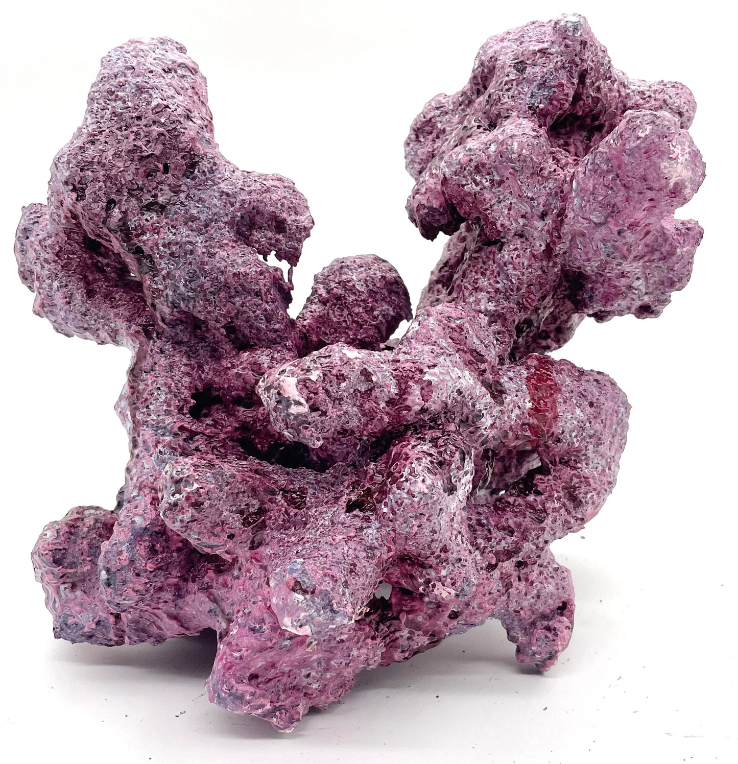 Tropic Eden Morroca Irregular Rock 2 Extension - Med - ONE Piece (3.5-4.5lbs)