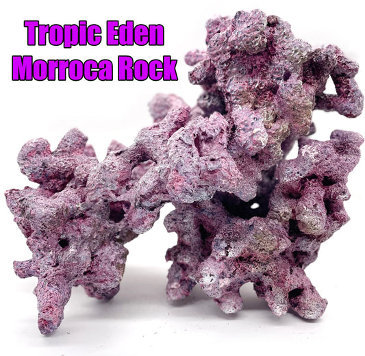 Tropic Eden Morroca Rock