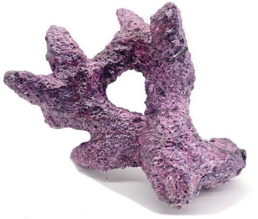 Tropic Eden Morroca Rock - Irregular Branch