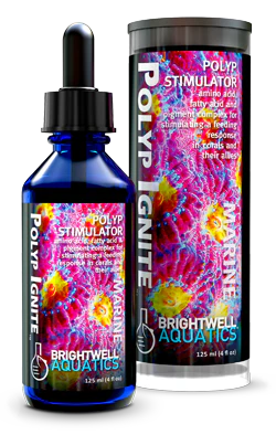 Brightwell Aquatics Polyp Ignite