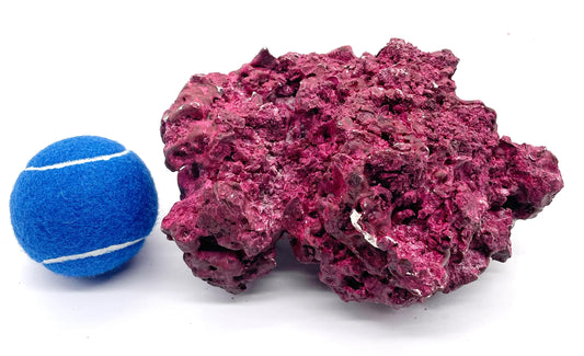 Real Reef 3 lb Piece - WYSIWYG