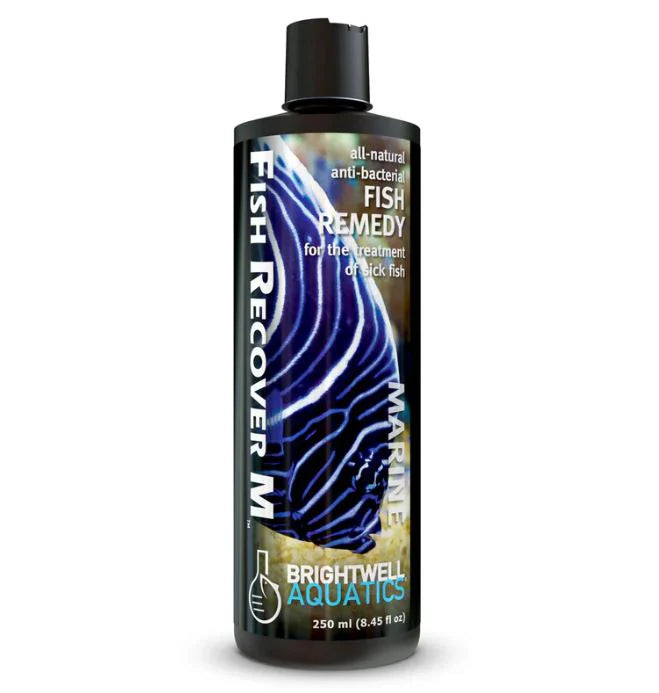 Brightwell Aquatics Fish Recover M
