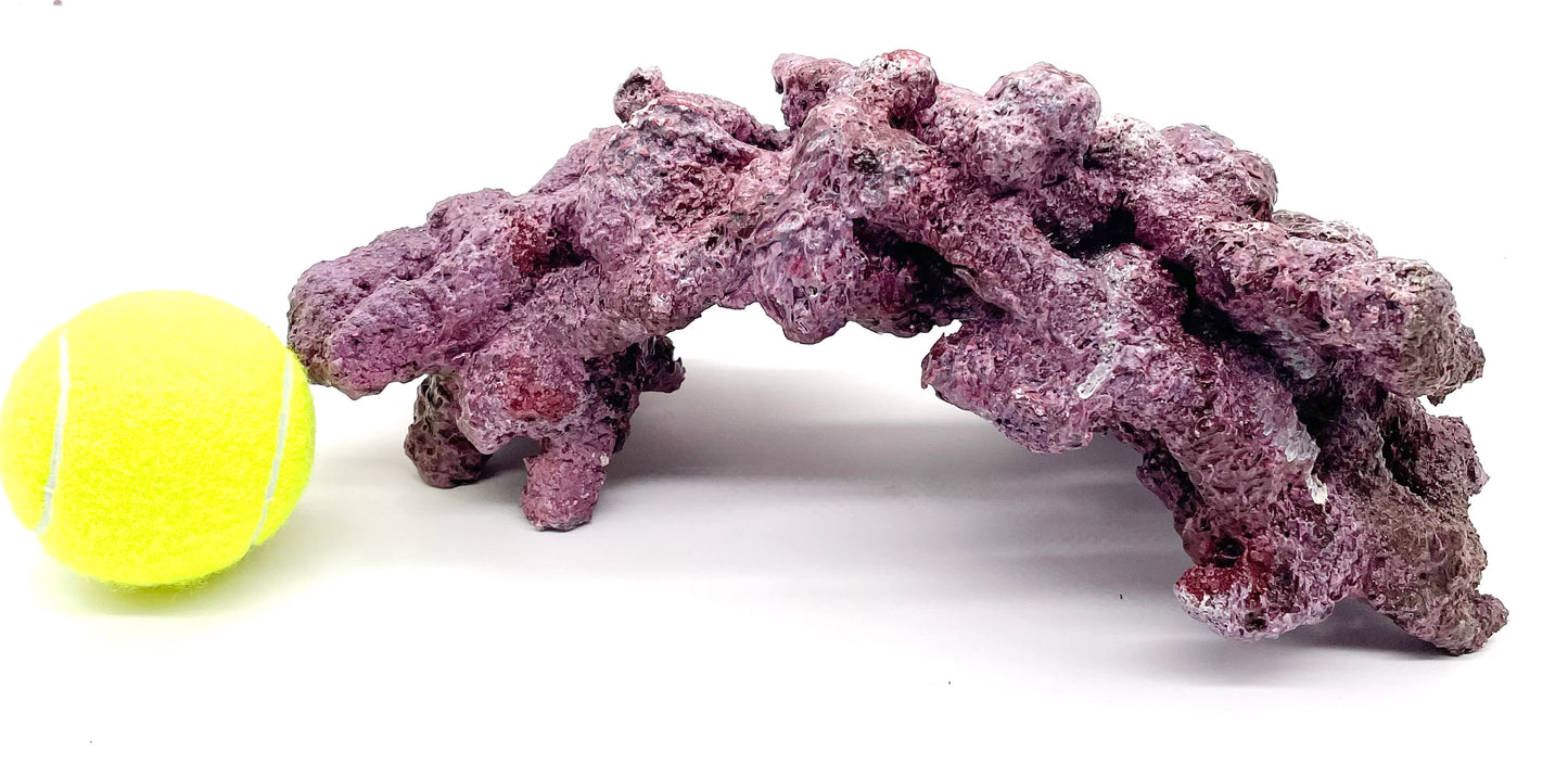 Tropic Eden Morroca Single Cave Rock - ONE Piece approx 2-2.5lb Piece - Original Batch