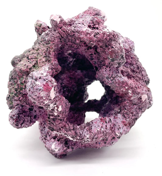 Tropic Eden Morroca Reef Cradle Rock