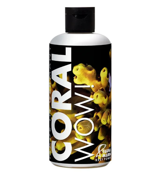 Fauna Marin Coral Wow