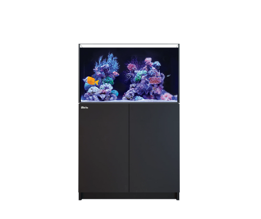 Red Sea REEFER 250 G3