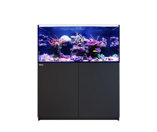 Red Sea REEFER 350 G3