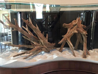 250g Wave Glass Reef-Ready Aquarium Set in Black