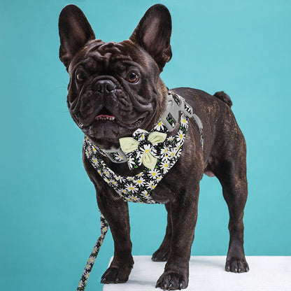 Veststyle Collarchest Strap Dog Walking Rope And Chain