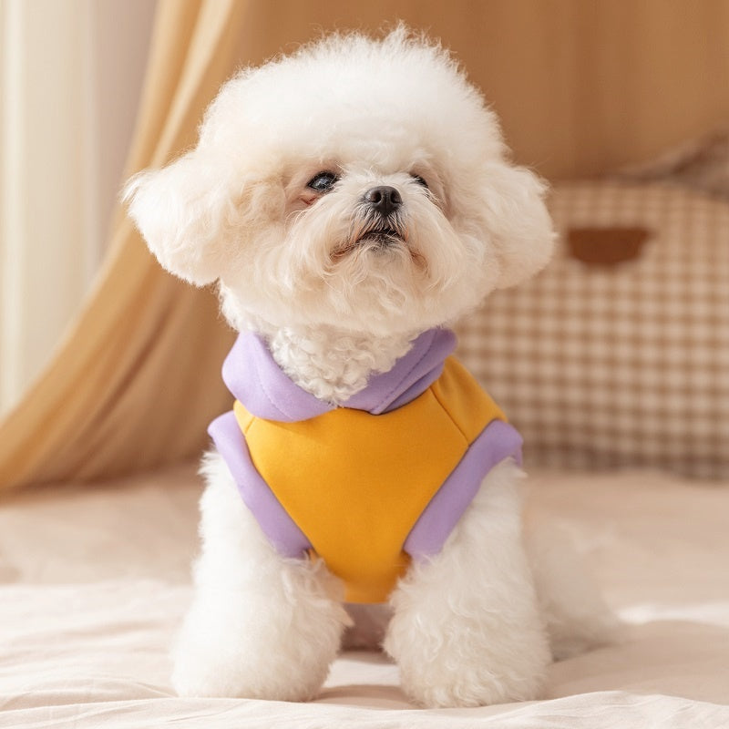 Autumn And Winter Korean Version New Dog Cute Cartoon Little Bear Sportswear Cat Teddy Pet Clothing