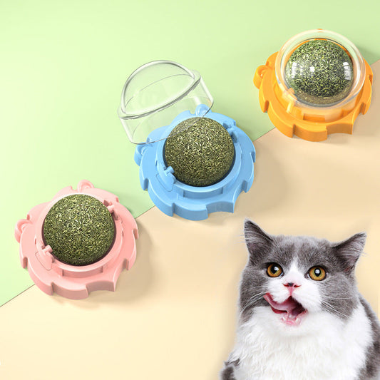 Lion Catnip Molar Pet Toy Can Be Pasted Cat Toy