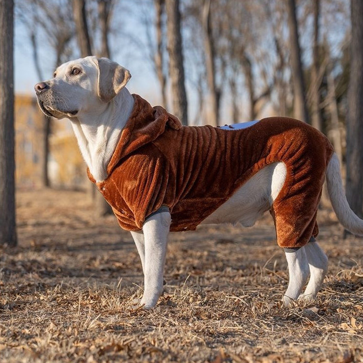Big Clothes Year Medium-sized Large Dog