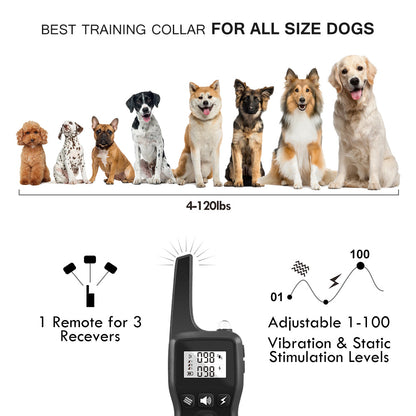 Remote Control Pet Trainer -dog