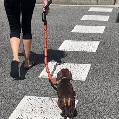 Dog Hand Holding Rope A Bunch Of Big Sausage
