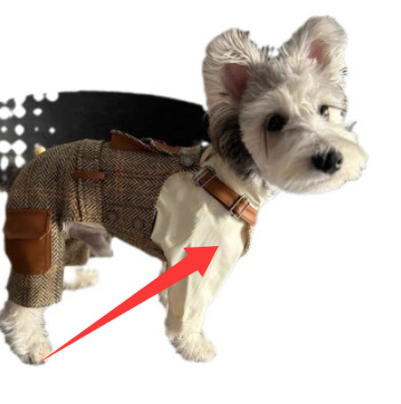 Autumn And Winter Overalls And Hoodies For Pet Cats And Dogs