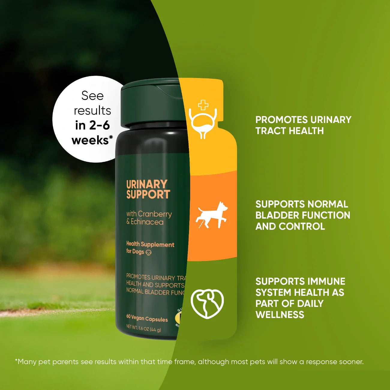 Urinary Support