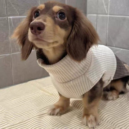 Fashionable Knitwear For Cats And Dogs Perfect For Fall And Winter