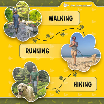 Exquisite Hands-Free Dog Leash for Large Dogs