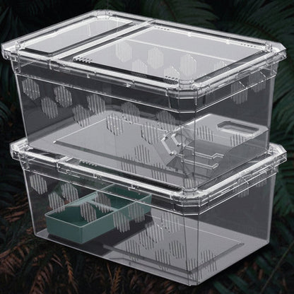 Stackable Micro Terrarium & Hatchling Feeding Enclosure