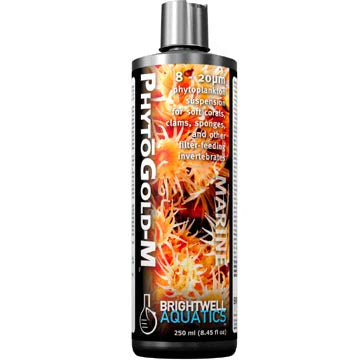 Brightwell Aquatics PhytoGold-M - Golden Phytoplankton