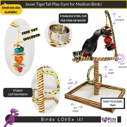 Bird Play Gym Tabletop W Cup, Toy Hanger and Toy,  Javan Tigertail Stand- Large