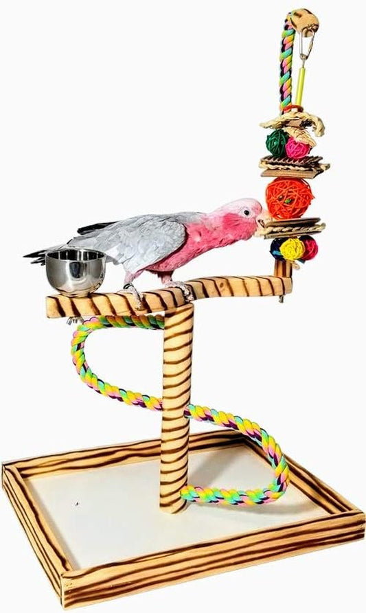 Bird Play Gym Tabletop W Cup, Toy Hanger and Toy,  Javan Tigertail Stand- Large