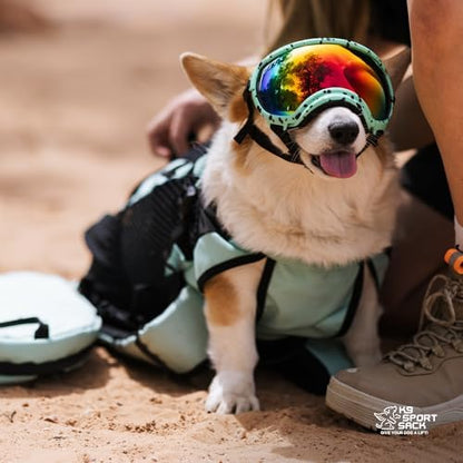 K9 Sport Sack Plus 2 - Medium, Summer Mint - Ideal for Dogs 17-19” Long - Adjustable, Backpack-Style Carrier with Multi-Functional Storage Pack, Thick Shoulder Straps & Padded Back Panel