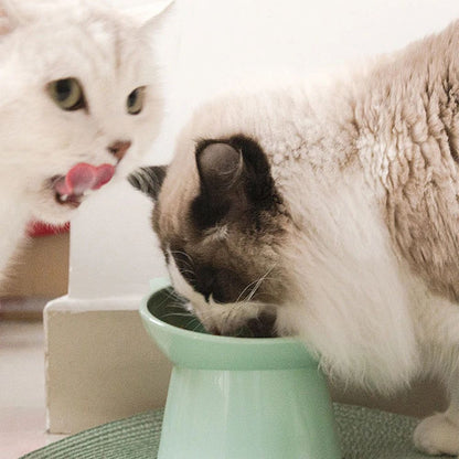 Tilted Cat Food Bowl Elevated Cat Bowl Ergonomic Raised Cat Food Bowl Anti Vomiting Plastic Feeding Bowl Non Slip For Cats Dogs