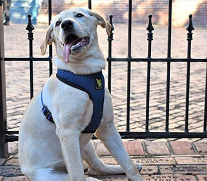 EcoBark Navy Dog Harness - Over-the-Head Soft Mesh Dog Vest Halter for Small to Medium Dogs and Puppies