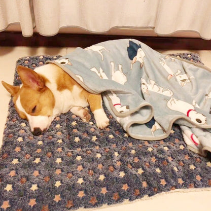 Thickened Pet Mat For Autumn And Winter Warmth