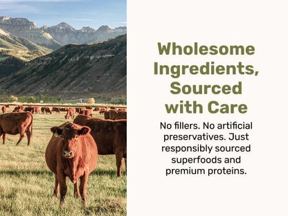 Superfood Nuggets- Premium, Freeze-Dried raw Dog Food Topper or Treat. Powerful Nutrient-Dense Ingredients. No Artificial additives. Beef Tripe and Kale Formula 8oz - 4pk Bundle