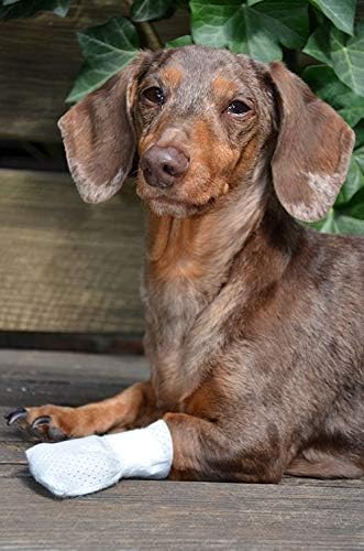 Medimitt Paw Bandages for Dogs, Cats and Pets – Stretchy Medical Booties, First Aid for Paws – Non Slip, Non Adhesive, Breathable, Disposable, Washable, Adjustable Strap, Value Pack (XS 20-Pack)